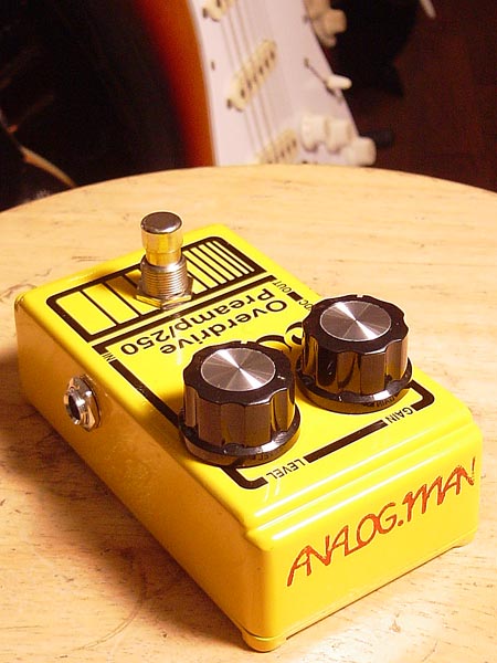 平野楽器 JAPAN VINTAGE GUITAR SHOP